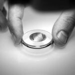 bhd_disc-in-case